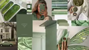 a collage of photos of green and white