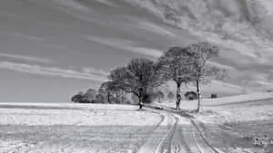 Serene Black And White Desktop
