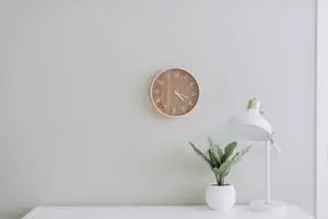  Simple Harmony of Minimal Shapes 