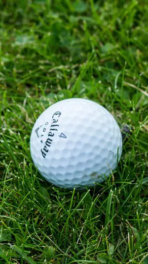 Single Golf Ball Golfing Desktop