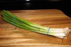 Splendid Long Leaf Green Onion