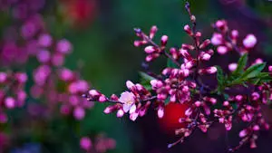 a pink flower with green leaves and purple flowers