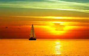 “A Spectacular Sunrise”