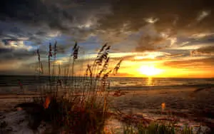 Start The Day Right with a Sunrise Desktop 
