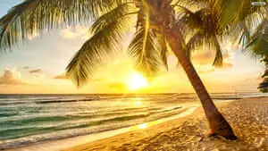 A Serene Sunrise