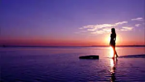 Stunning Sunset Silhouette with Radiant Colors