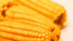 Sweetcorn 2560x1440 Food