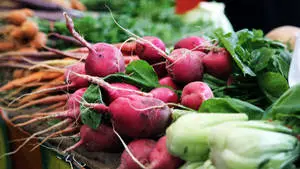 Vegetable Radish In Market Display