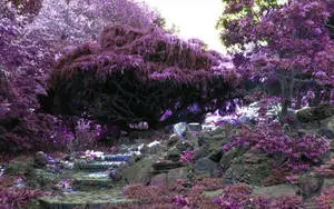 Violet Flower Garden