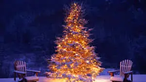 Enjoy the beauty of a winter Christmas on your desktop