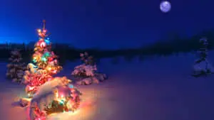 Winter Colorful Christmas Tree Desktop