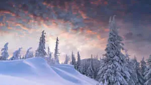 Celebrate the Magic of Christmas with a Snowy Desktop