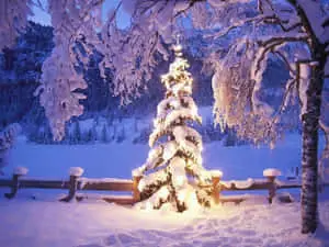 Winter Holiday Desktop With Large Christmas Tree