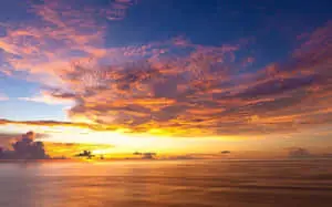 Vibrant Yellow Sky at Sunset