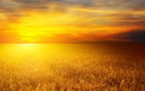 A breathtaking view of the yellow sky at sunset