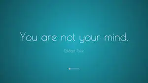 You Are Not Your Mind Text