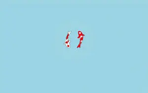 Zen Fish Minimalist Laptop Art