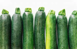 Zucchini Dunja Vegetable Variety