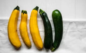 Fresh Golden and Black Beauty Zucchinis